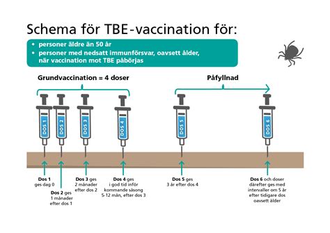 Tbe-vaccin intervall